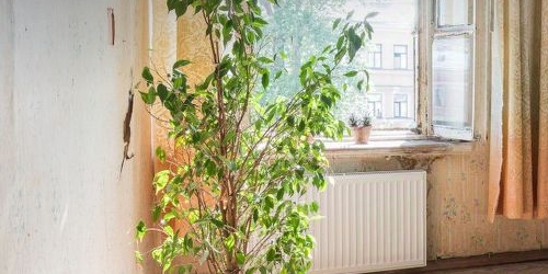 6-комн квартира Средняя Подьяческая улица, 15