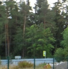 Продажа земли пос. Ленинское, улица Советская, 88 Продажа земли пос. Ленинское, улица Советская, 88