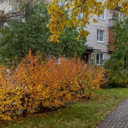 2-комн квартира Павловск, Госпитальная улица, 23