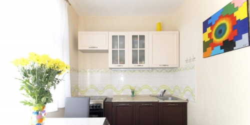 1-комн квартира Руднёвка улица,  д. 4