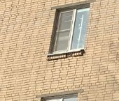 Сдать в аренду Квартиры вторичка Пушкин, бульвар Алексея Толстого, 3   