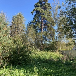 Продажа дома Ильинский р.п., Восточный пер. Продажа дома Ильинский р.п., Восточный пер.