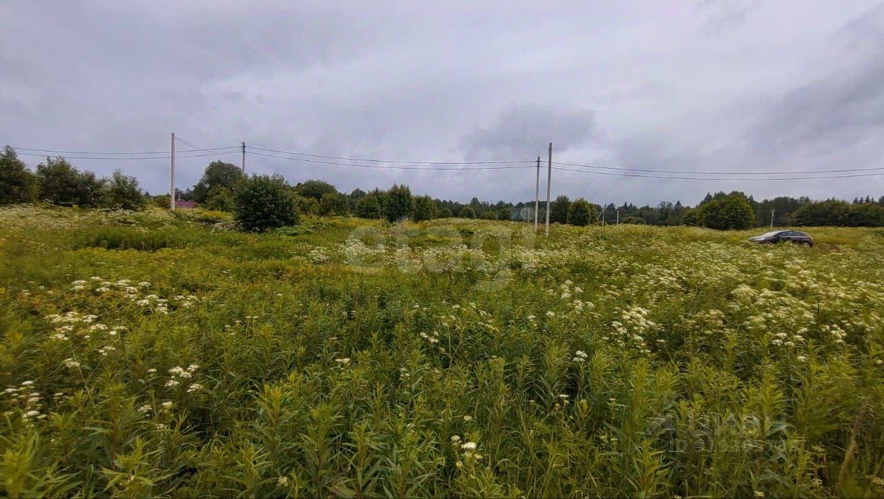 Продажа земли Новое Заостровье СНТ, улица Звездная