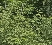 Продать Квартиры вторичка Живописная улица, 58   