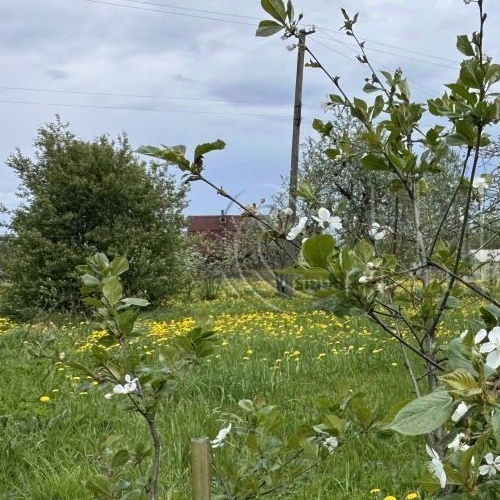 Коттедж/дом пос. При железнодорожной станции Войбокало, улица Привокзальная,  д. 14