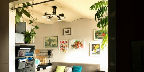 2-комн квартира Кронверкская улица,  д. 14