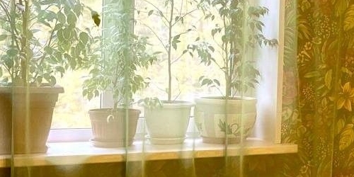 2-комн квартира Пушкин, Железнодорожная улица, 2а