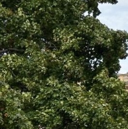 Продажа 3-комн квартиры на вторичном рынке улица Куйбышева, 1/5