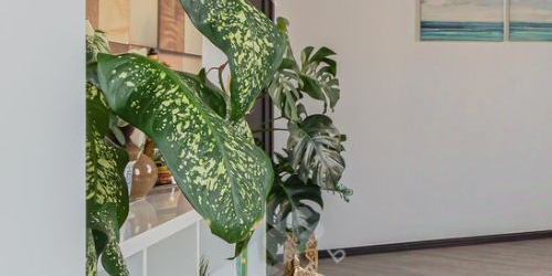 3-комн квартира улица Савушкина, 11