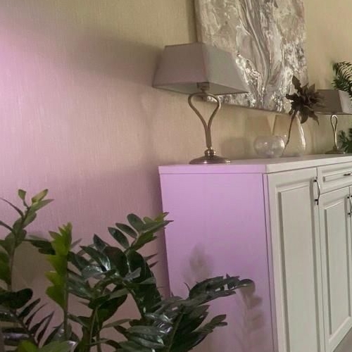 4-комн квартира улица Маршала Тухачевского, 13