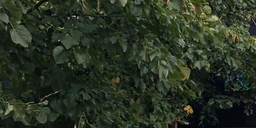 3-комн квартира улица Чистова, 15/15