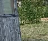 Продать Земельные участки, земля Вымпел кп, улица Центральная   