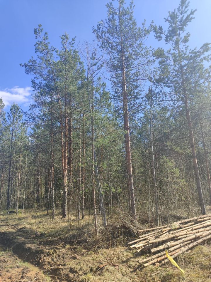 Продажа земли Дружная Горка городской поселок, улица Пограничная