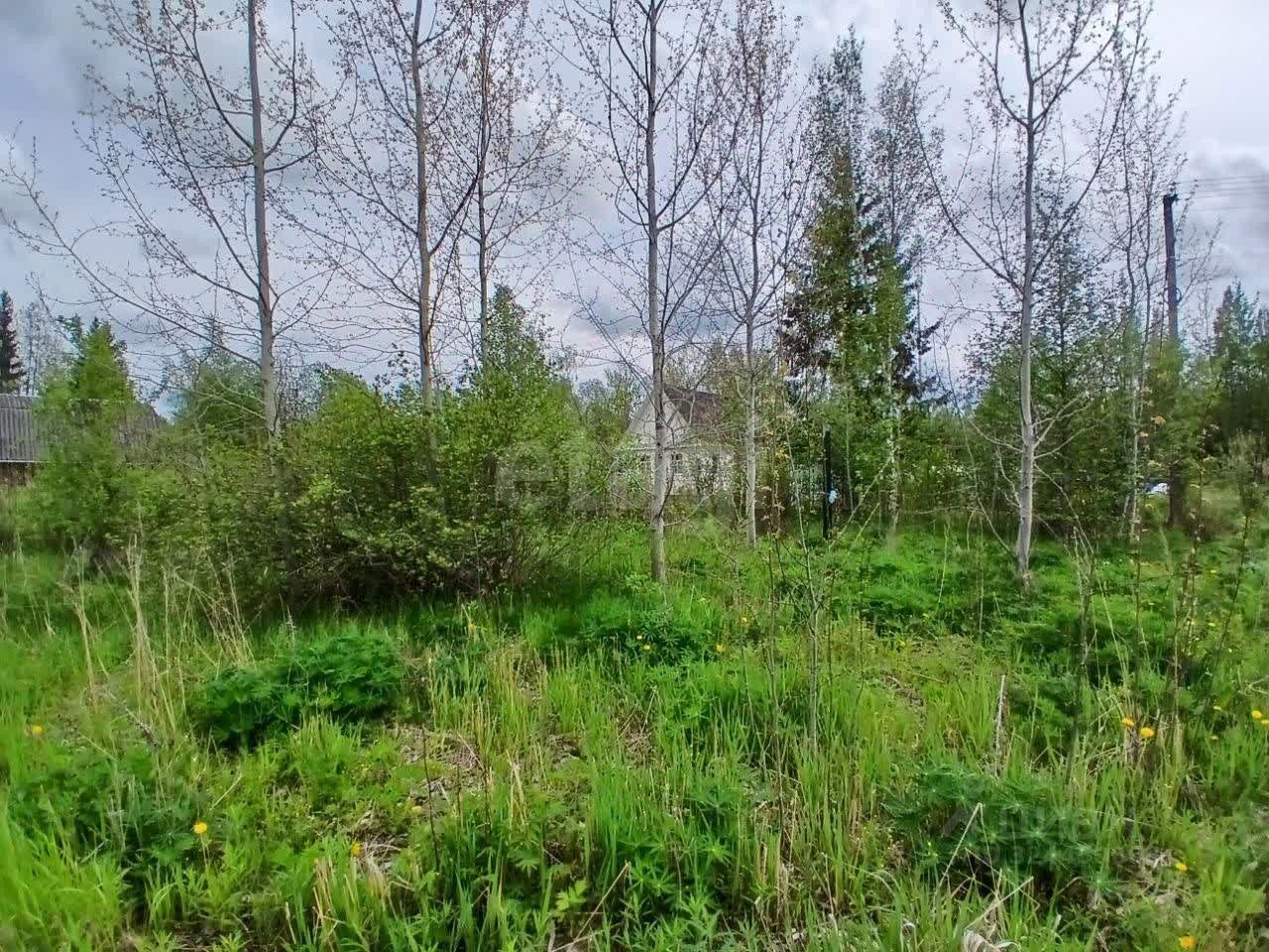 Продажа земли Пупышево садоводческий массив, Волхов СНТ, 1-я линия,  д. 10