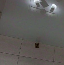 Продажа 1-комн квартиры на вторичном рынке Зеленоградский пгт, улица Островского, 14 Продажа 1-комн квартиры на вторичном рынке Зеленоградский пгт, улица Островского, 14