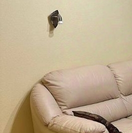 Аренда 2-комн квартиры на вторичном рынке Осенний бульвар, 12К2 Аренда 2-комн квартиры на вторичном рынке Осенний бульвар, 12К2