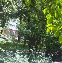 Продажа 2-комн квартиры на вторичном рынке Севастопольский проспект, 51К3 Продажа 2-комн квартиры на вторичном рынке Севастопольский проспект, 51К3