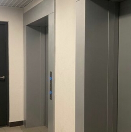 Продажа 3-комн квартиры на вторичном рынке Ветеранов пр-кт,  д. 123 с1