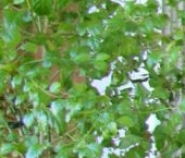 Продать Квартиры вторичка Рождественская улица, 6   