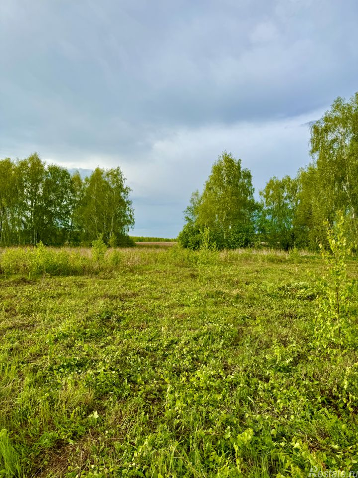 Продажа земли Голочёлово, 46Н-11690