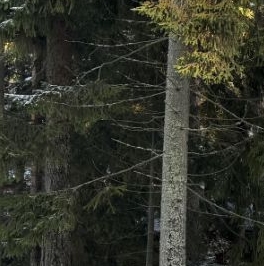 Продажа земли Гармония СНТ, 3-я Озерная линия,  д. 11