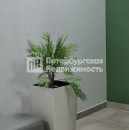 Продажа 1-комн квартиры на вторичном рынке Пулковское шоссе,  д. 71 к15