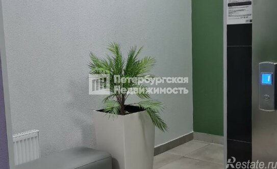 Продажа 1-комн квартиры на вторичном рынке Пулковское шоссе,  д. 71 к15