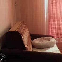 Продажа 1-комн квартиры на вторичном рынке Воронежская улица, 9