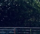 Продать Дачи, коттеджи, загородные дома Мшинская садоводческий массив, Лесное СНТ, проезд 1-й продольный   