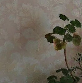 Продажа 2-комн квартиры на вторичном рынке д. Выскатка, улица Садовая, 20 Продажа 2-комн квартиры на вторичном рынке д. Выскатка, улица Садовая, 20