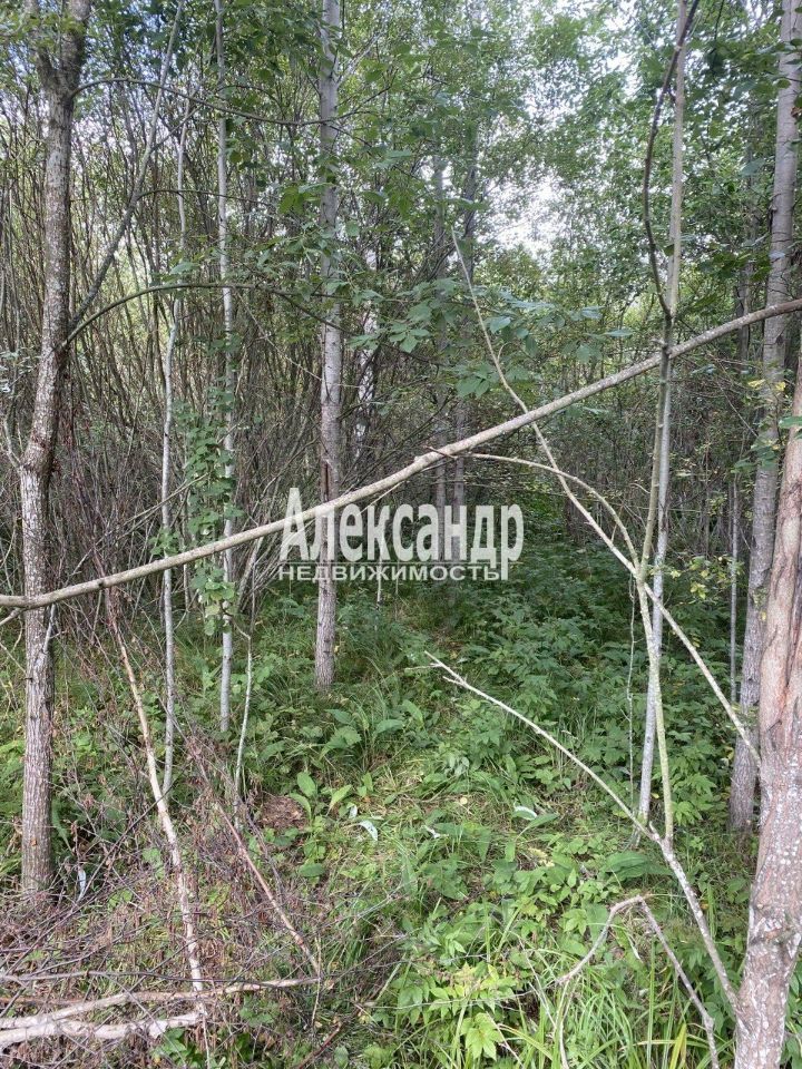 Продажа земли Заповедное СНТ