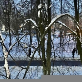 Продажа 1-комн квартиры на вторичном рынке Кушелевская дор,  д. 3 к3