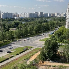 Продажа 1-комн квартиры на вторичном рынке Мячковский бульвар,  д. 31/19