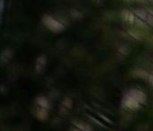 Продать Квартиры вторичка улица Стахановцев, 1   