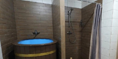 Коттедж/дом поселок Лисий Нос Приморское  шоссе,  д. 134