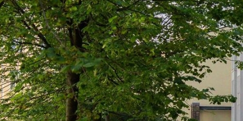 3-комн квартира 12-я Красноармейская улица, 26