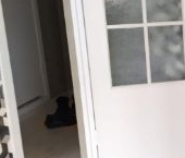 Сдать в аренду Квартиры вторичка Ленинский проспект, 78к1   