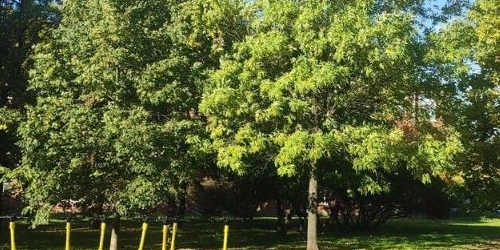 2-комн квартира Ивановская улица, 7