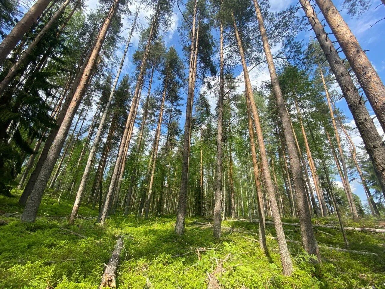Продажа земли пос. Стеклянный, улица Жданова, 1