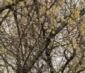 Продать Квартиры вторичка проспект 60-летия Октября, 8   