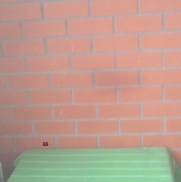 Продажа 1-комн квартиры на вторичном рынке Химки г, Сходня мкр, Некрасова ул