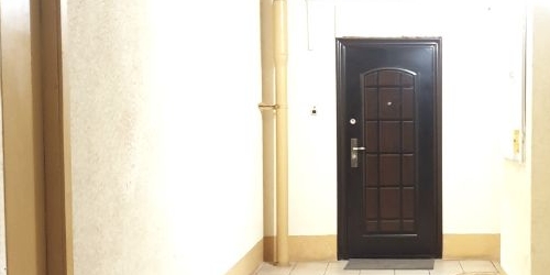 1-комн квартира Пушкин, Гусарская улица, 6к9