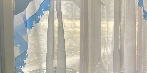 2-комн квартира Петергоф, Блан-Менильская улица, 1