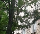 Продать Квартиры вторичка Флотская улица, 46   