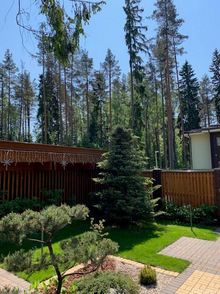 Продажа земли Зеленогорск, Курортная улица