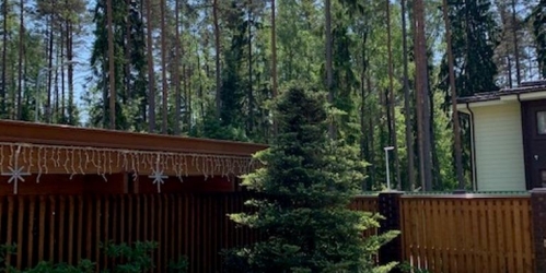 Земельный участок Зеленогорск, Курортная улица