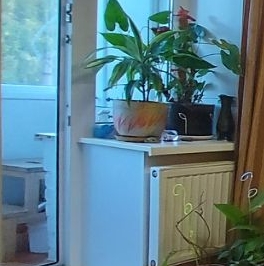 Продажа 1-комн квартиры на вторичном рынке пос. При железнодорожной станции Приветнинское, улица Военных Строителей, 7