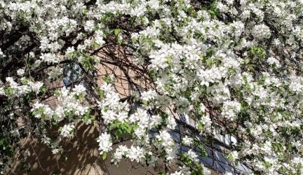 3-комн квартира улица Декабристов, 20К2