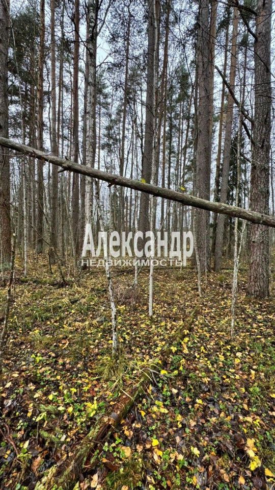 Продажа земли Садовые участки