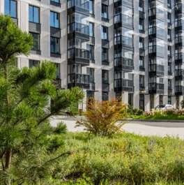 Продажа 1-комн квартиры на вторичном рынке Петровский пр-кт,  д. 28 к2 с1